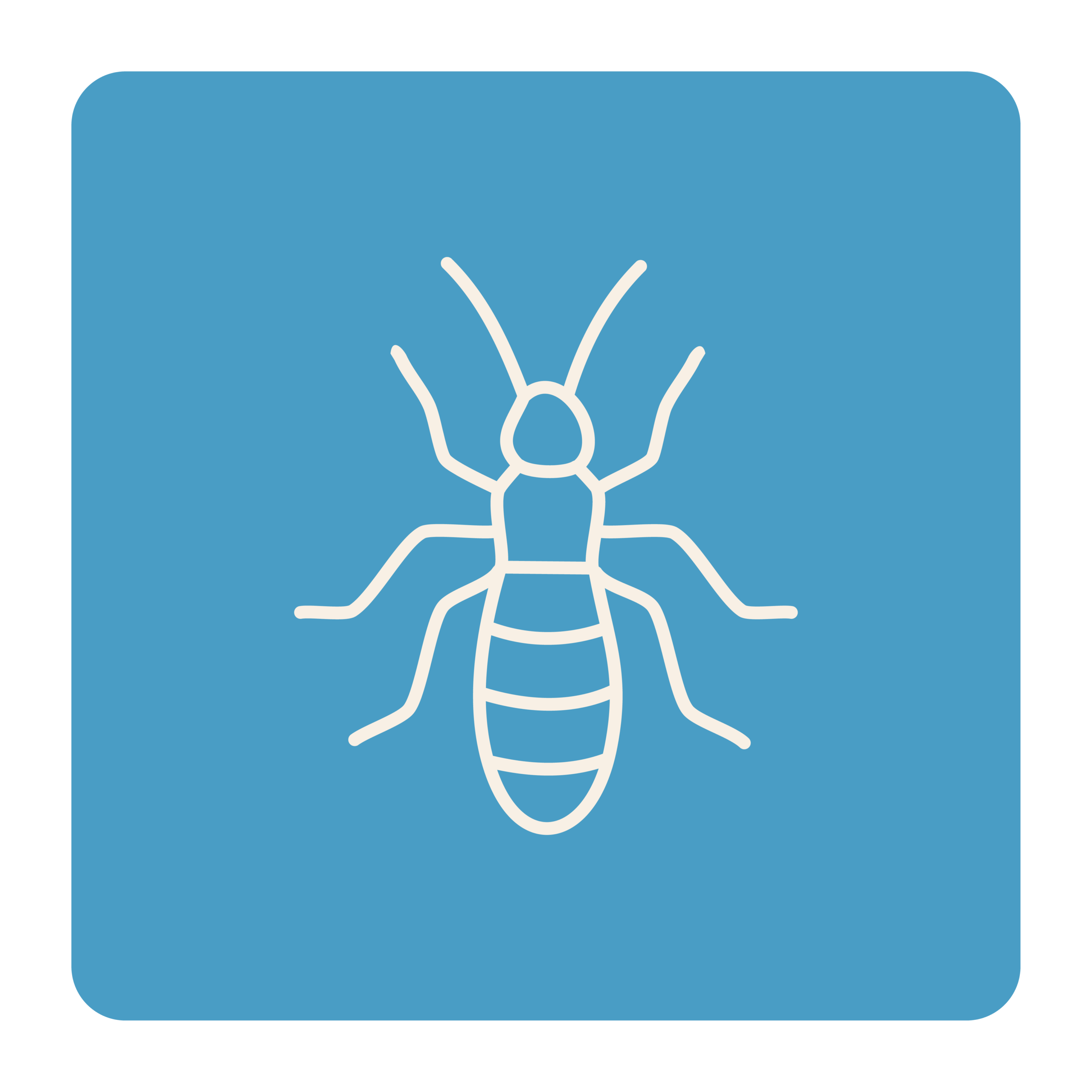 Warranty Icons_Termite